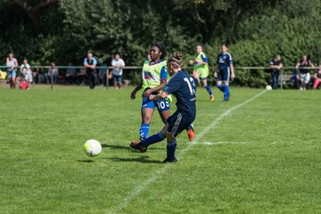 Bild 202 - B-Juniorinnen VfL Pinneberg - HSV : Ergebnis: 1:4